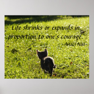 Poster de Coragem de Kitten
