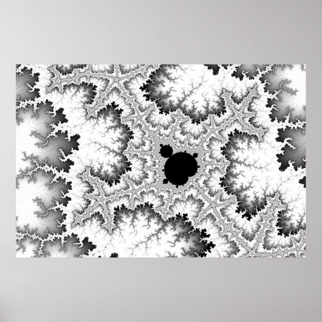 Poster de Coral Negro (Frente)