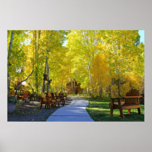 Pôster De "cores da queda da passagem Aspen", vale CA da