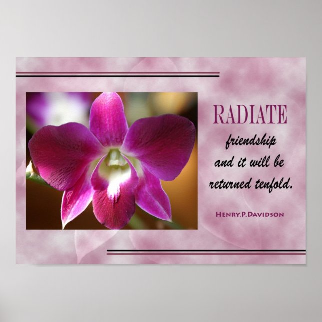 POSTER DE COTAÇÃO DE AMIZADE (Frente)