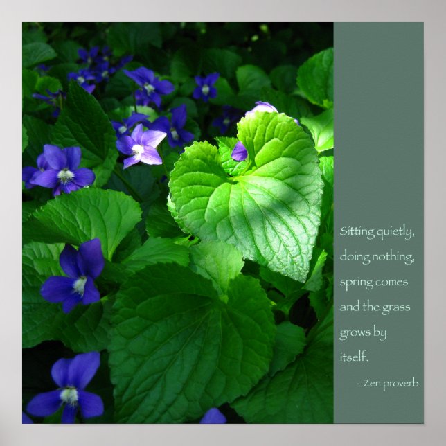 Poster de Cotação de Proverb Zen (Frente)