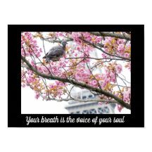 Poster de Cotações Inspirativas