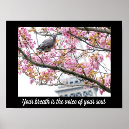 Poster de Cotações Inspirativas