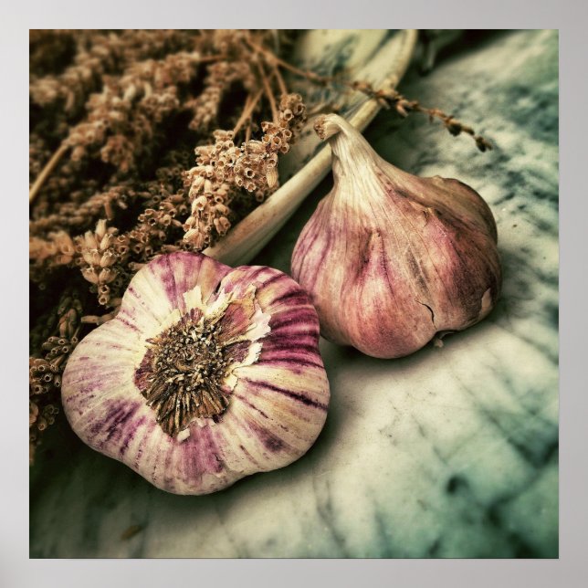 Poster de cozinha de alho/espótulo (Frente)