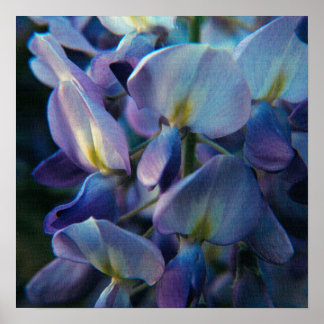 Poster de Criação de primavera