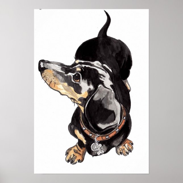 poster de dachshund (Frente)