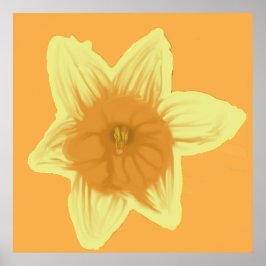 Poster de Daffodil ao quadrado