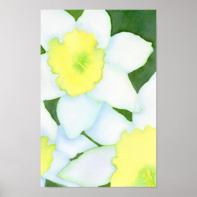Poster de Daffodils (Frente)