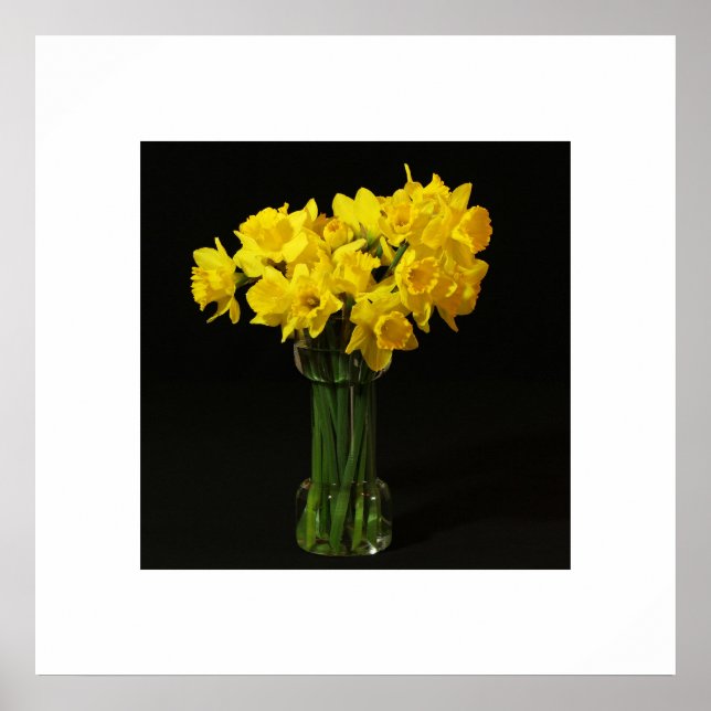Poster de Daffodils (Frente)