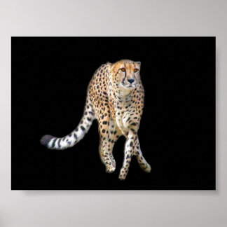 Poster de Dança de Toque