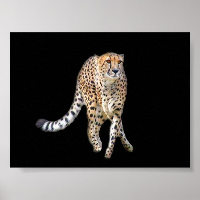 Poster de Dança de Toque (Frente)