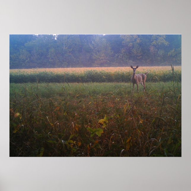 Poster de Data de Alerta (Frente)