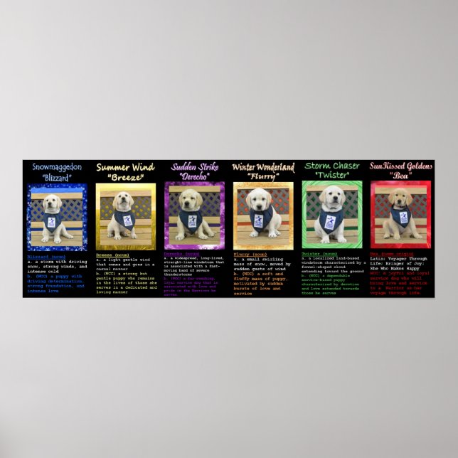 Poster de Definições de Litro de Tempo e Nome do B (Frente)