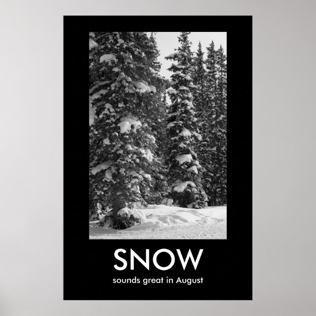 Poster de demonstração de NEVE (Frente)