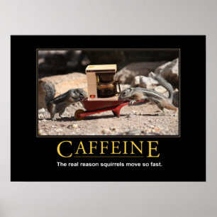 Poster de Demotivational: Cafeína