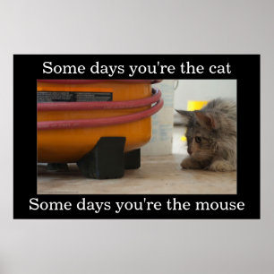Poster de Demotivational do gato e do rato