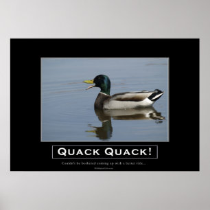 Poster de Demotivational do pato do pato selvagem