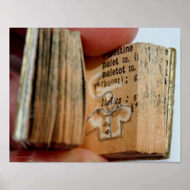 Poster de Desenho da Jaqueta do Livro Miniatura Di (Frente)