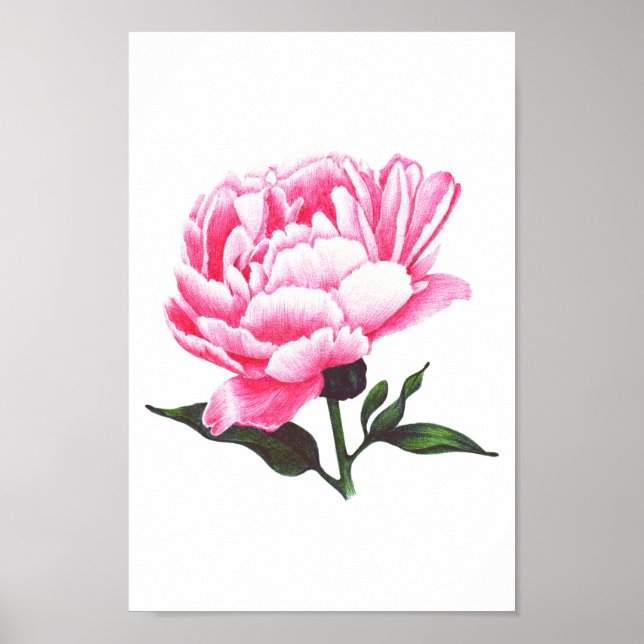 Poster de Desenho de Caneta de Ilustração de Flor  (Frente)