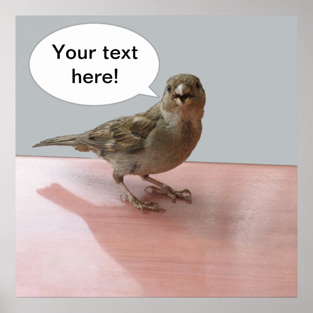 Poster de Disparador de Chattering (Frente)