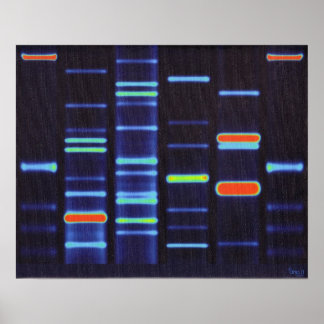 POSTER de DNA