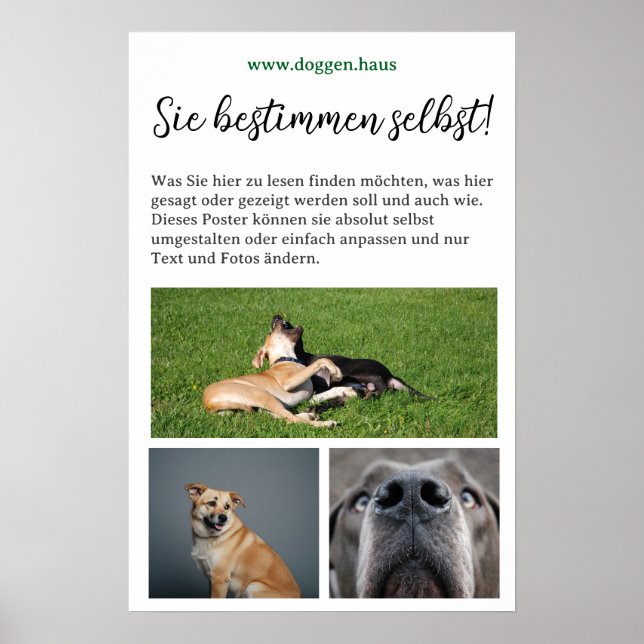 Pôster de Dogge para personalizar (Frente)