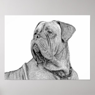 Poster de Dogue de Bordéus