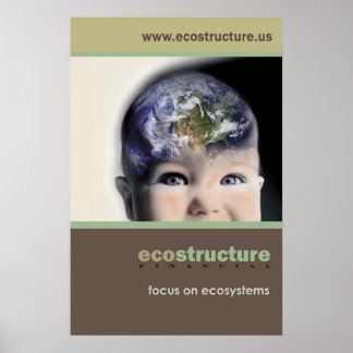 Poster de ecoestrutura 24x36
