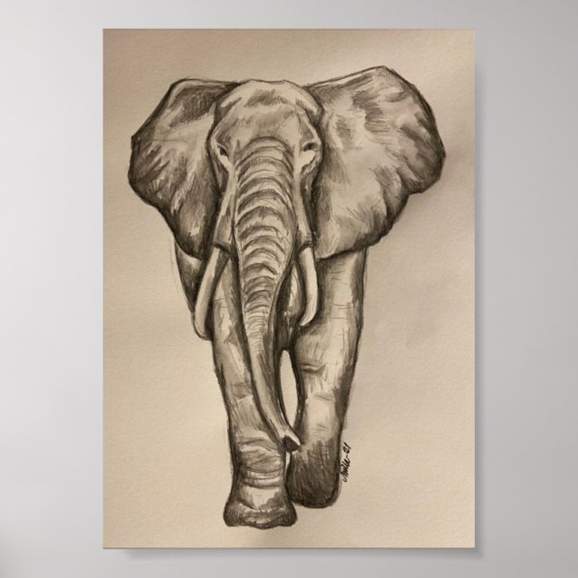 Poster de elefante (Frente)