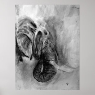poster de elefante 18x24