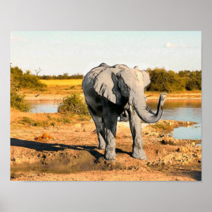 Poster de Elefante Africano