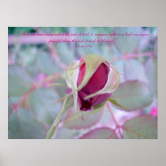 Poster de Elegância Pura