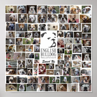 Poster de Emergência do BERN