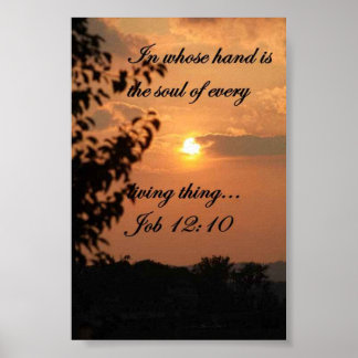 POSTER DE EMPREGO 12:10