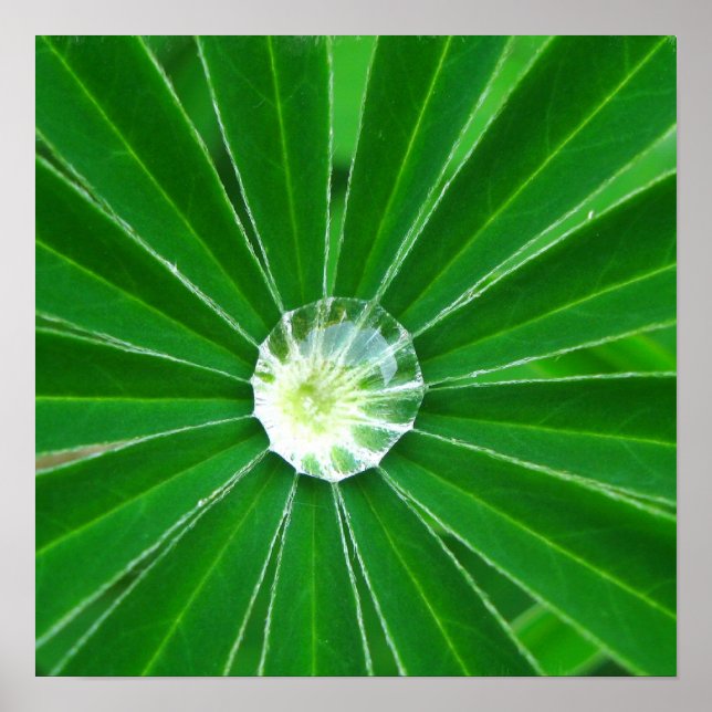 Poster de energia verde (Frente)