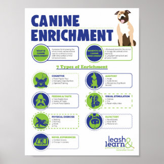 Poster de Enriquecimento Canino