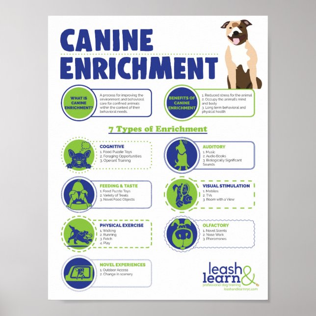 Poster de Enriquecimento Canino (Frente)
