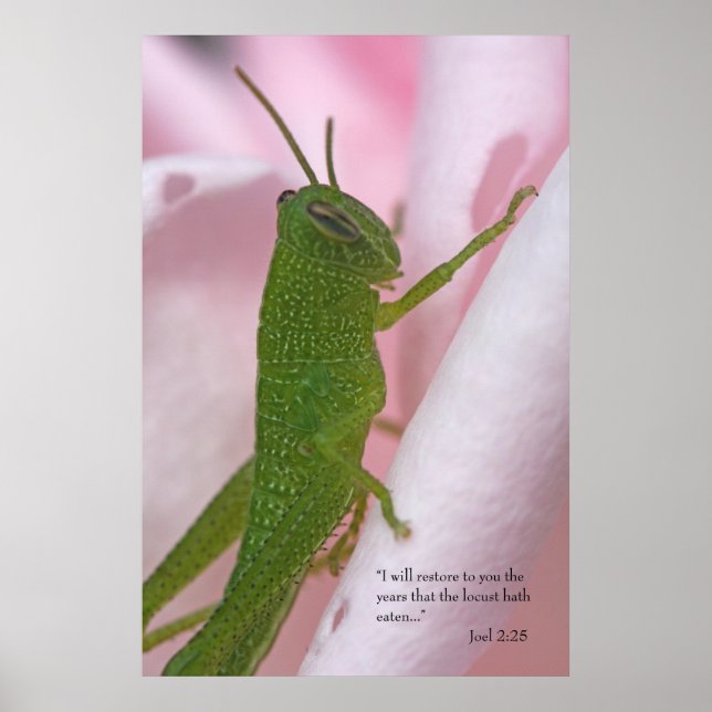 Poster de Escritura do Joel 2 (Frente)