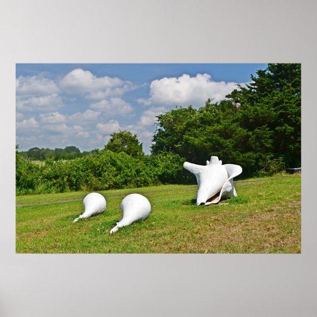 Poster de escultura de Shell (Frente)