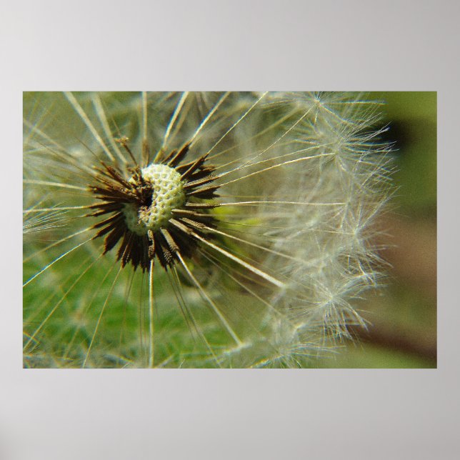 Poster de esfera (Frente)