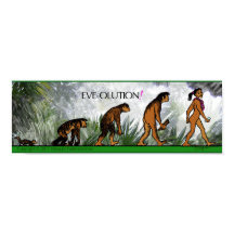 POSTER DE EVE-OLUÇÃO