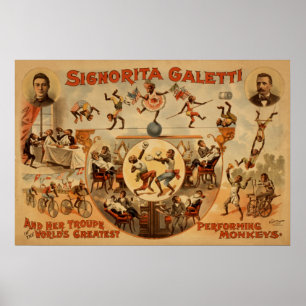Poster de execução do VAUDEVILLE do ato dos