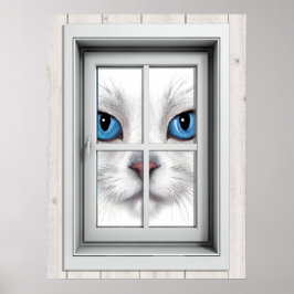 Poster de Exibição de Janela