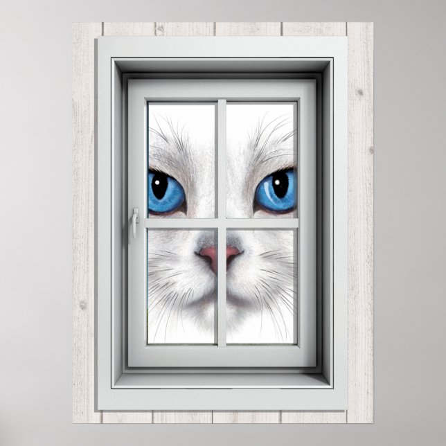 Poster de Exibição de Janela (Frente)