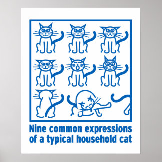 Poster de Expressões de Cat