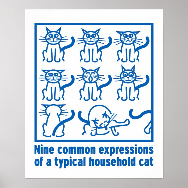 Poster de Expressões de Cat (Frente)
