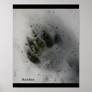 Poster de faixa de rodagem