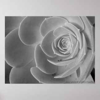 Poster de fechamento