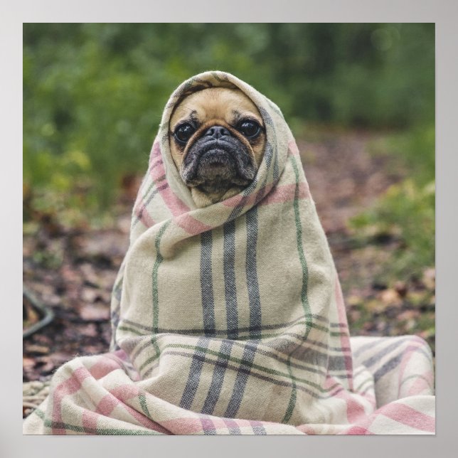 Poster de Fechamento de Pug de Corte (Frente)