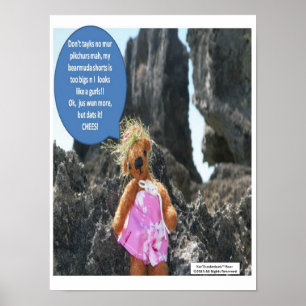 Poster de Férias do Urso Ker'Dunkedunk